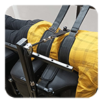 Scoliosis Correction (Optional)